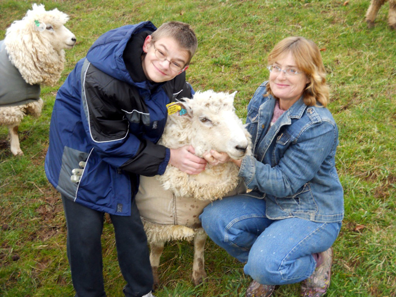 sheep-adopters